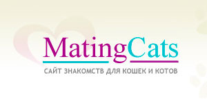 Сайт знакомств для кошек и котов