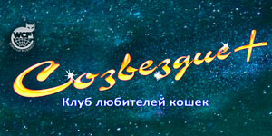 Разработка программы для выставок